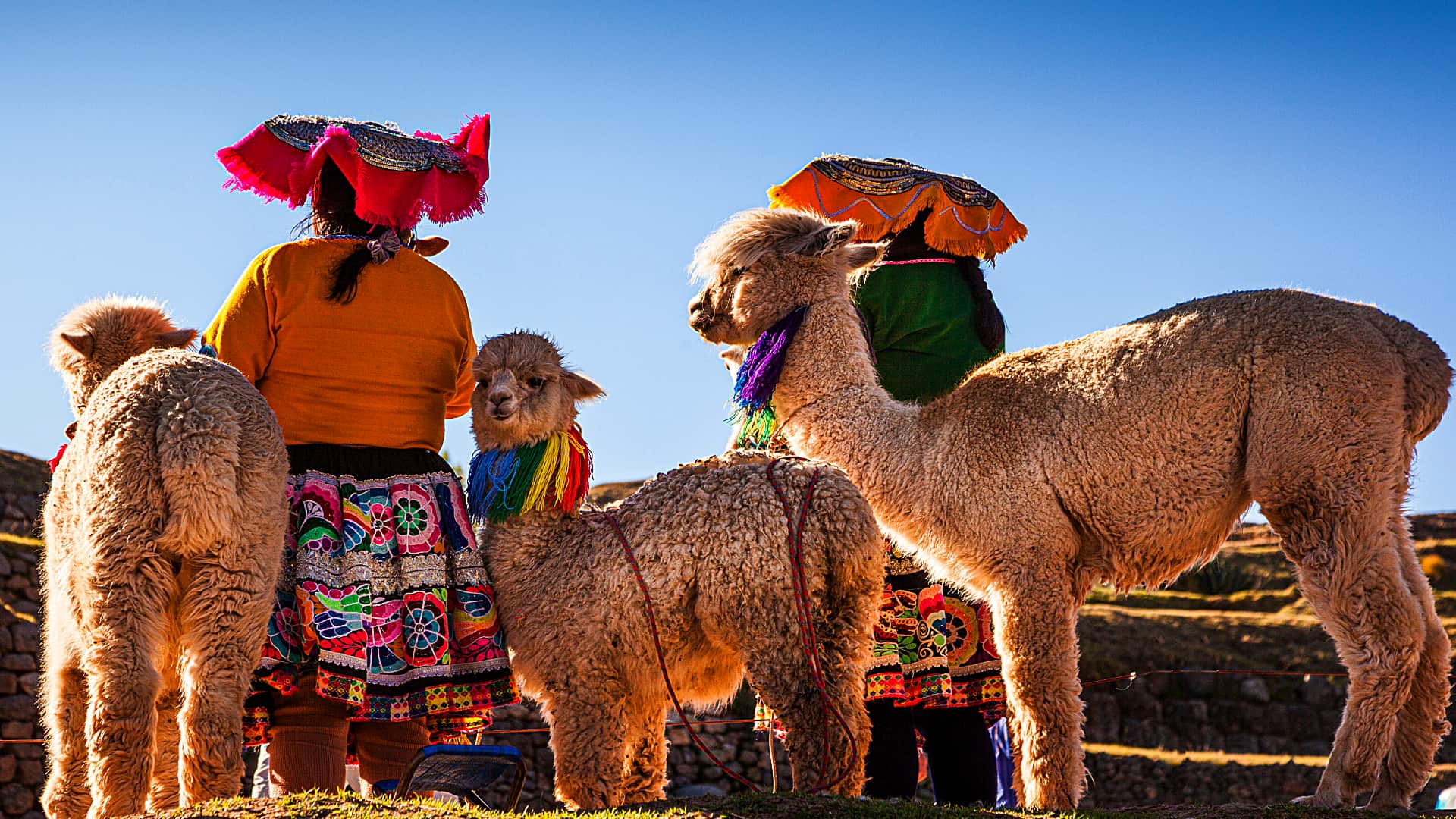 Cusco Daily Tours